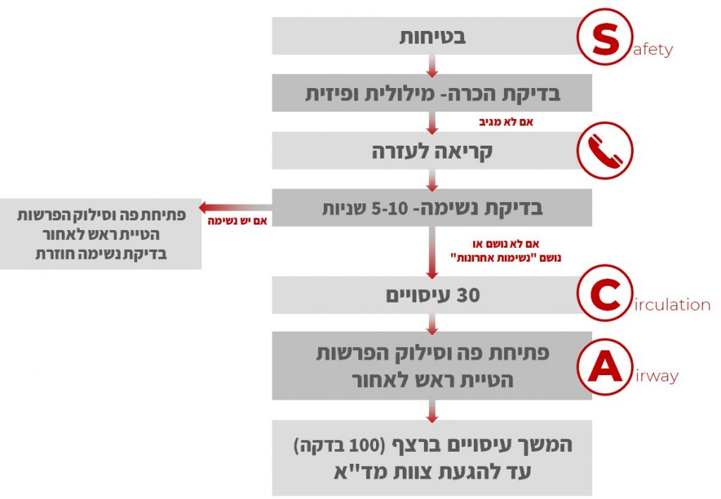 סכמת החייאה - קורס עזרה ראשונה